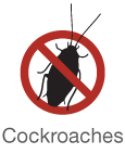 Cockroaches-Icon